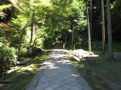 20150715hike (19)